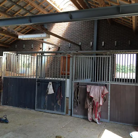 Holiday home Welkom Op De Mildert Nederweert
